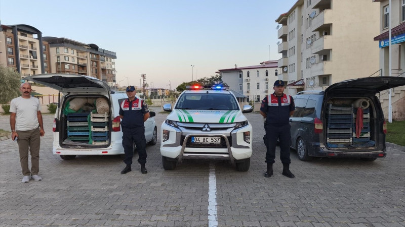 Doğubayazıt'ta ele geçirilen 240 kilogram kurbağa doğaya bırakıldı